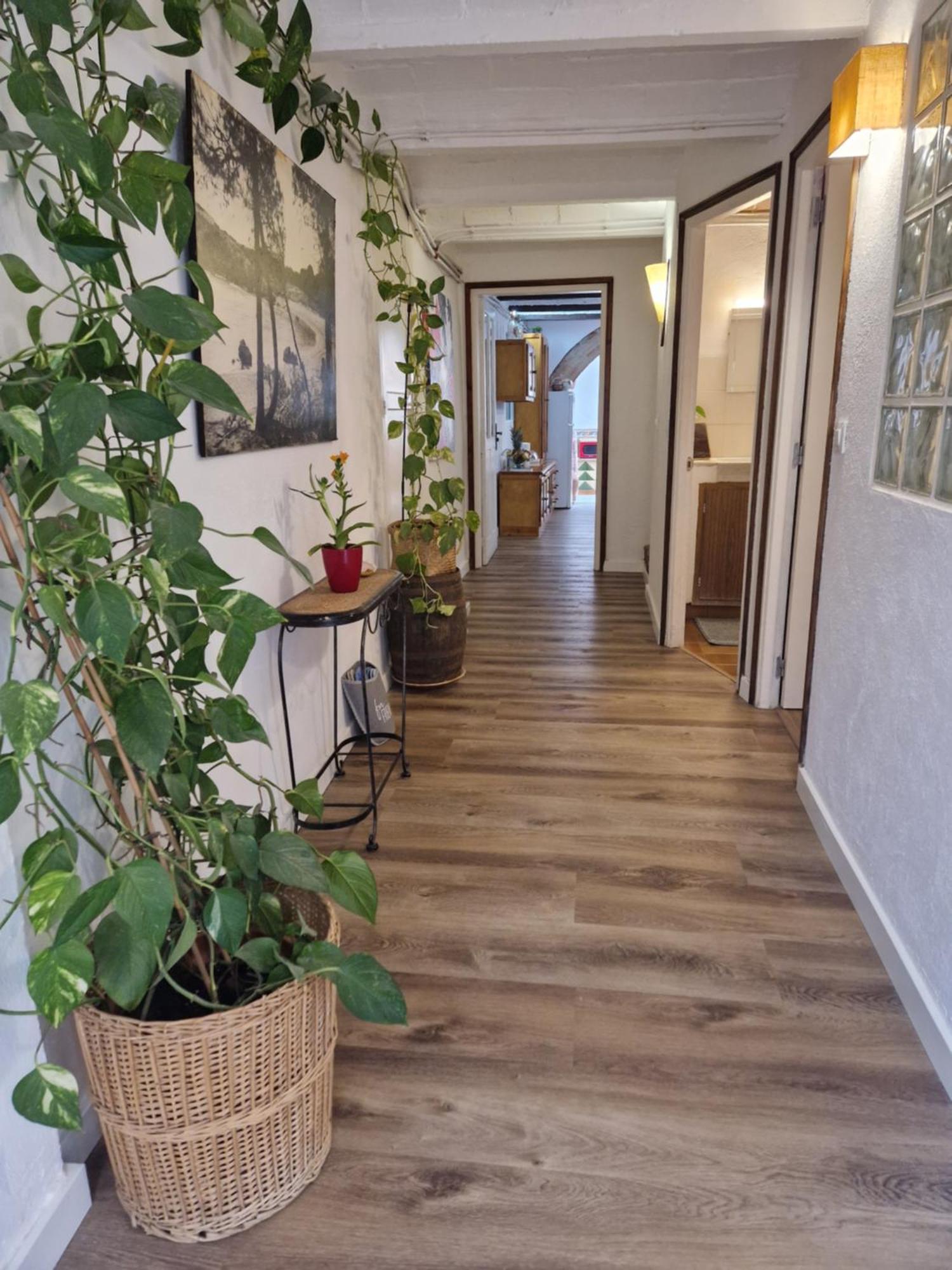 Ca La Teia Apartment Bellcaire d'Emporda Bagian luar foto