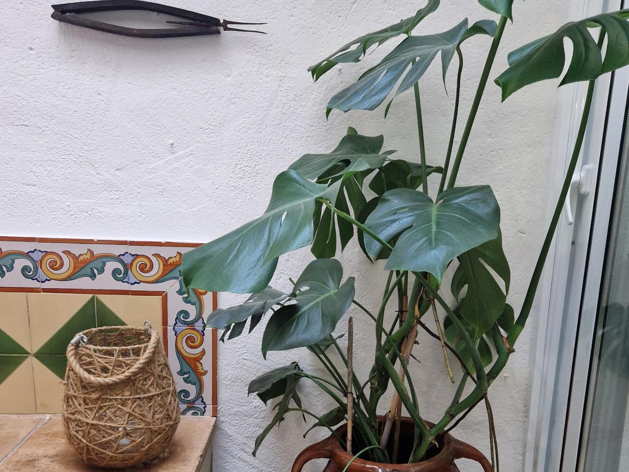 Ca La Teia Apartment Bellcaire d'Emporda Bagian luar foto